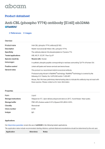 Anti-CBL (phospho Y774) antibody [E160] ab32446 Product datasheet 2 References 3 Images