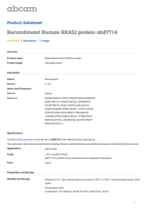 Recombinant Human RRAS2 protein ab87714 Product datasheet 1 Abreviews 1 Image