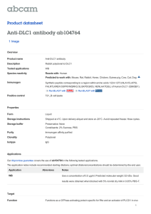 Anti-DLC1 antibody ab104764 Product datasheet 1 Image