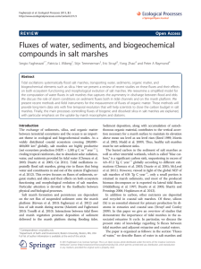 Fluxes of water, sediments, and biogeochemical compounds in salt marshes Open Access