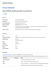 Anti-STK38 antibody [6F1] ab125131 Product datasheet 5 Images Overview