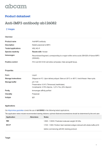 Anti-IMP3 antibody ab126082 Product datasheet 2 Images Overview
