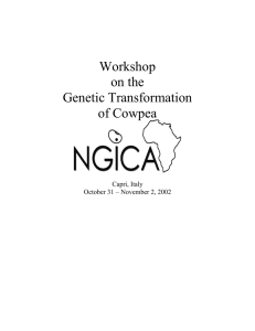 Workshop on the Genetic Transformation