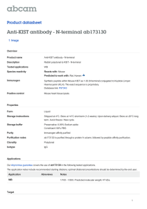 Anti-KIST antibody - N-terminal ab173130 Product datasheet 1 Image