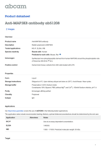 Anti-MAP3K8 antibody ab51208 Product datasheet 2 Images