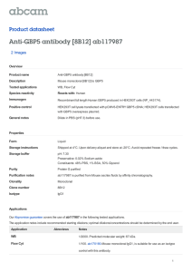 Anti-GBP5 antibody [8B12] ab117987 Product datasheet 2 Images Overview
