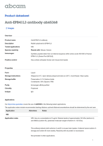 Anti-EPB41L3 antibody ab65368 Product datasheet 2 Images Overview