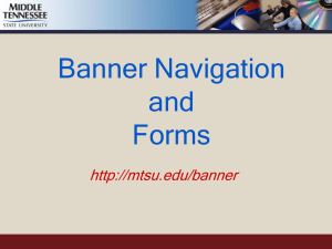 Banner Navigation and Forms