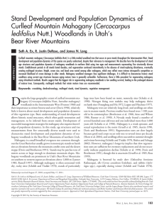 Stand Development and Population Dynamics of Cercocarpus Bear River Mountains ledifolius