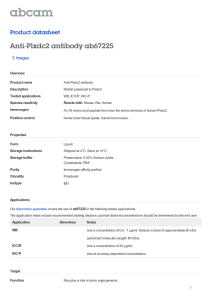 Anti-Plxdc2 antibody ab67225 Product datasheet 3 Images Overview