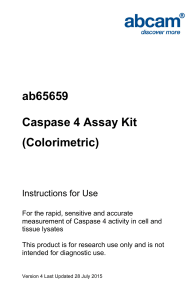ab65659 Caspase 4 Assay Kit (Colorimetric) Instructions for Use