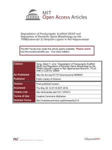 Degradation of Postsynaptic Scaffold GKAP and
