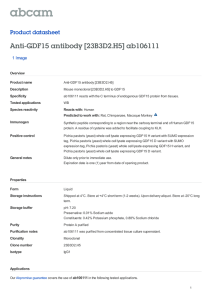 Anti-GDF15 antibody [23B3D2.H5] ab106111 Product datasheet 1 Image Overview