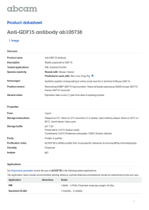 Anti-GDF15 antibody ab105738 Product datasheet 1 Image
