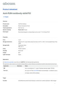 Anti-PLK4 antibody ab56752 Product datasheet 2 Images Overview