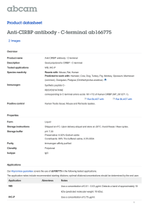 Anti-CIRBP antibody - C-terminal ab166775 Product datasheet 2 Images