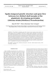 Spatio-temporal genetic structure and gene flow planktonic developing periwinkle