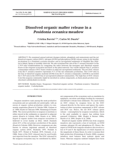 Dissolved organic matter release in a Posidonia oceanica *, Carlos M. Duarte