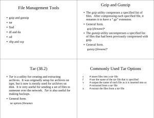 Gzip and Gunzip File Management Tools