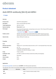 Anti-DPCD antibody [8A12] ab140961 Product datasheet 4 Images Overview