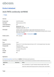 Anti-FNTA antibody ab98042 Product datasheet 1 Image