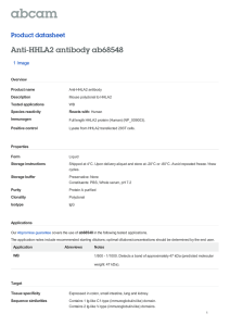 Anti-HHLA2 antibody ab68548 Product datasheet 1 Image