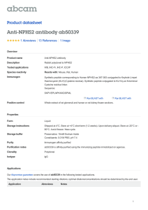 Anti-NPHS2 antibody ab50339 Product datasheet 1 Abreviews 1 Image