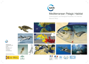 Mediterranean Pelagic Habitat Oceanographic and Biological Processes, An Overview Maurizio Würtz