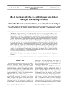 Shell-boring polychaetes affect gastropod shell strength and crab predation *, Gerhard Buschbaum