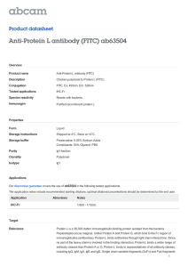 Anti-Protein L antibody (FITC) ab63504 Product datasheet Overview Product name