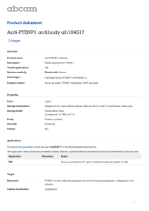 Anti-PTENP1 antibody ab104517 Product datasheet 2 Images