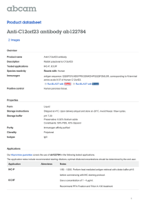 Anti-C12orf23 antibody ab122784 Product datasheet 2 Images Overview