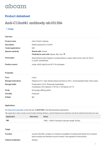 Anti-C12orf41 antibody ab101356 Product datasheet 1 Image