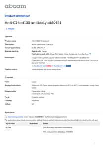 Anti-C14orf130 antibody ab59151 Product datasheet 2 Images