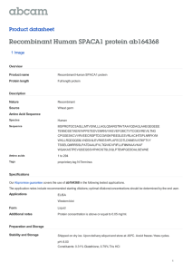 Recombinant Human SPACA1 protein ab164368 Product datasheet 1 Image Overview