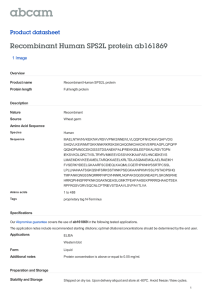 Recombinant Human SPS2L protein ab161869 Product datasheet 1 Image Overview