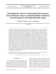 Modelling the effects of chlorophyll fluorescence measurements in microphytobenthic algae