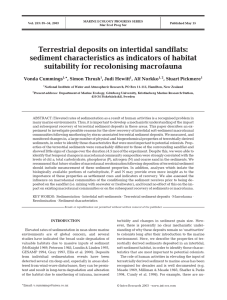 Terrestrial deposits on intertidal sandflats: sediment characteristics as indicators of habitat