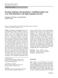 Invasion resistance and persistence: established plants win,