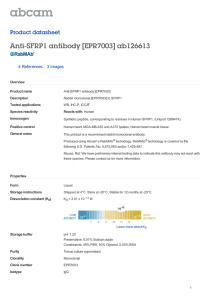 Anti-SFRP1 antibody [EPR7003] ab126613 Product datasheet 4 References 3 Images