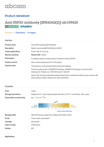 Anti-USP22 antibody [EPR4352(2)] ab109435 Product datasheet 1 Abreviews 5 Images
