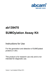 ab139470 SUMOylation Assay Kit Instructions for Use