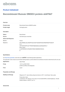 Recombinant Human UBE2D3 protein ab87867 Product datasheet Overview Product name