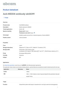 Anti-NEDD8 antibody ab58399 Product datasheet 1 Image