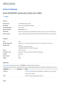 Anti-ZFAND2B antibody [3A5] ab118401 Product datasheet 4 Images Overview