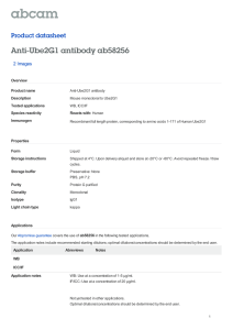 Anti-Ube2G1 antibody ab58256 Product datasheet 2 Images Overview