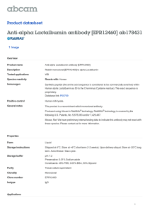 Anti-alpha Lactalbumin antibody [EPR12460] ab178431