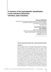 A revision of the supraspecific classification of the subclass Calcaronea Radovan BOROJEVIC