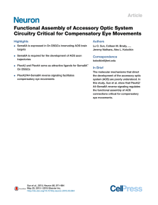 Functional Assembly of Accessory Optic System Article Highlights