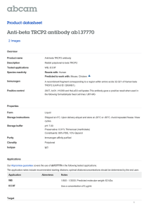Anti-beta TRCP2 antibody ab137770 Product datasheet 2 Images